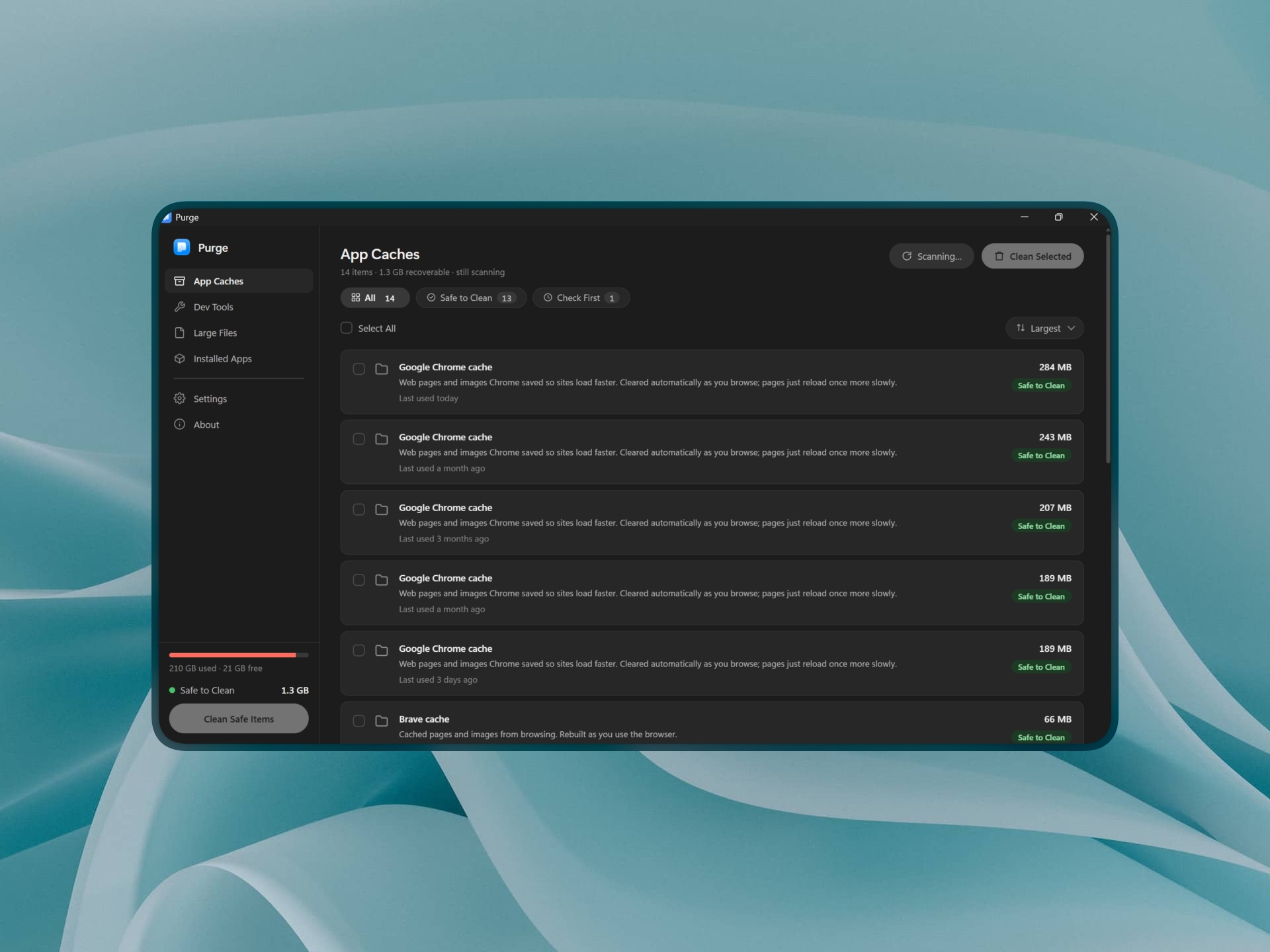 Purge showing App Caches with sizes and safety labels